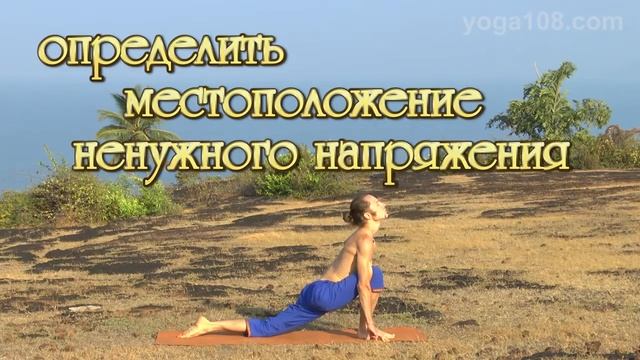 Новый курс йоги Михаила Баранова смотреть онлайн