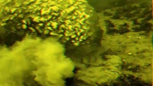Интересные факты о моржах смотреть онлайн