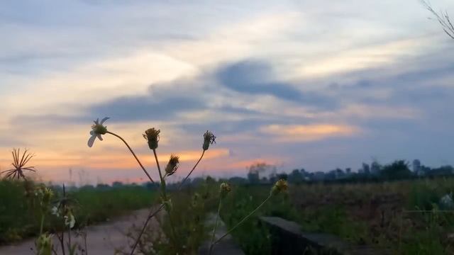 Buddha's Flute | Tranquil Flute 2 | Music for Meditation & Zen смотреть онлайн