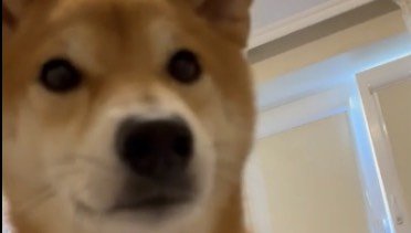 Что просит это я выполняю вот держите