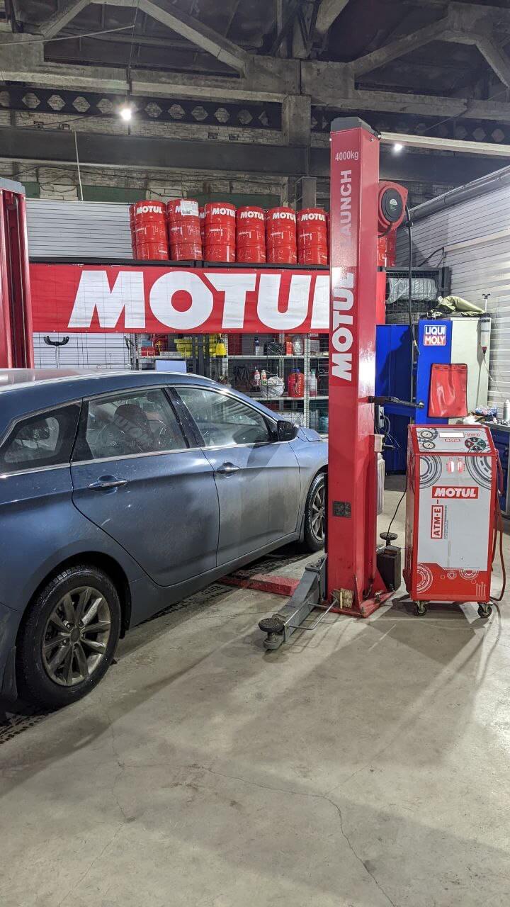 Команда Motul