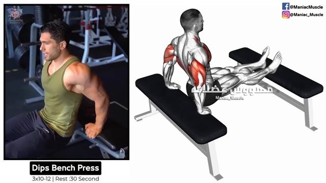 How To Build Your Triceps workout Fast (6 Effective Exercises) смотреть онлайн