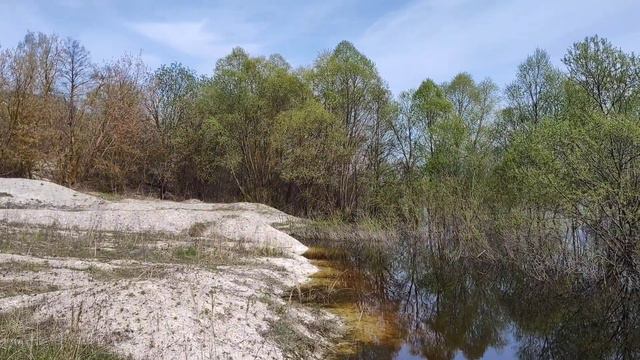 Шостка -Десна , розлив 2023.🌊🇺🇦 смотреть онлайн
