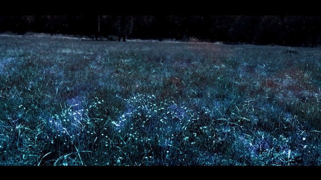 Delfe Pilgrim - BUTTERFLY + Making Of смотреть онлайн