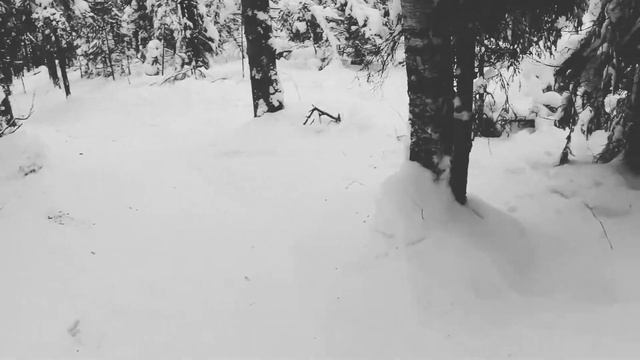 Белое Безмолвие. ACTION. White silence. смотреть онлайн