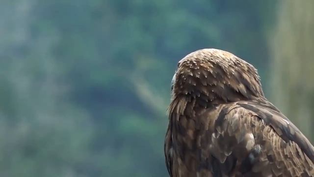 ЧТО ЕСЛИ БЫ В МАЙНКРАФТ БЫЛО ГОРНОЕ ОБНОВЛЕНИЕ? / ГОРНОЕ ОБНОВЛЕНИЕ МАЙНКРАФТ 1.17 / ОБНОВЛЕНИЕ ГОР смотреть онлайн