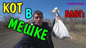 КОТ В МЕШКЕ / ЧТО МЫ КУПИЛИ НА 10000 РУБЛЕЙ