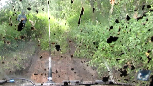 ЗАСТРЯЛИ В РУЧЬЕ. смотреть онлайн