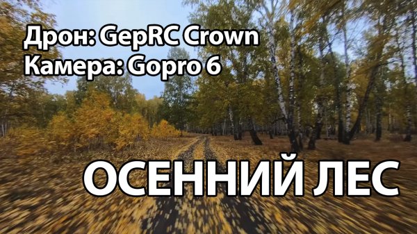 Осенний лес