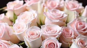 Доброе утро - открытки