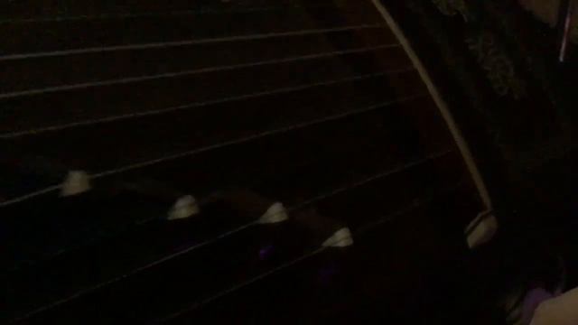 Guzheng activated! смотреть онлайн
