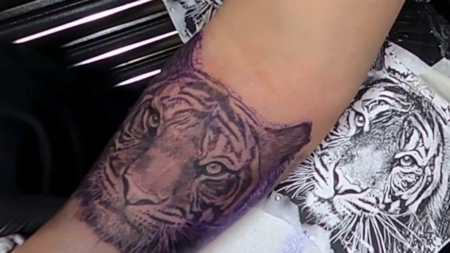 Tiger Tattoo , Real Time