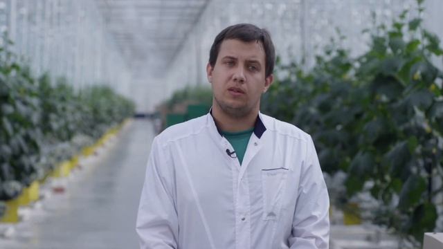 Отзыв от ТК "Иванисово" г.Электросталь смотреть онлайн