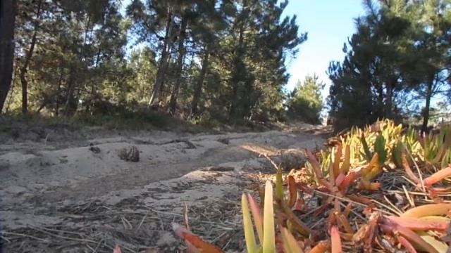 Patrol 3.3 Turbo смотреть онлайн