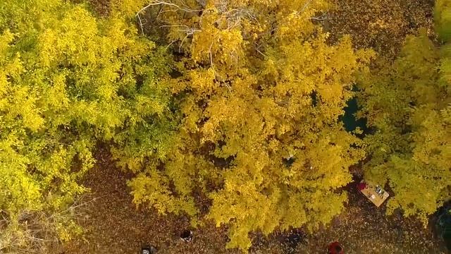 Корпоратив и рыбалка в Астрахани смотреть онлайн