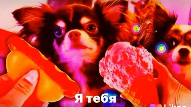 Мэджик Pets