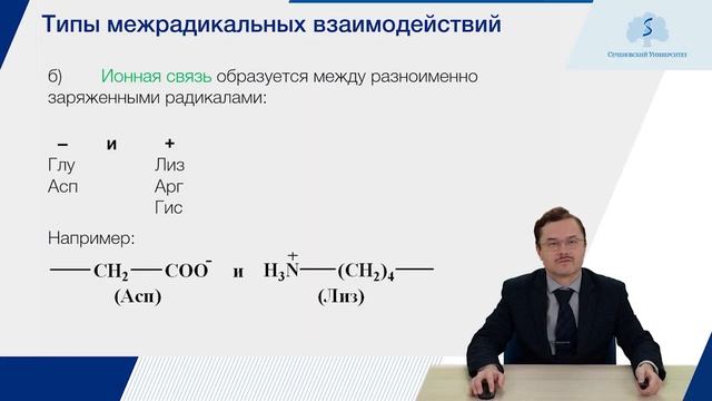 Белки: Структурная организация белков. Основы функционирования