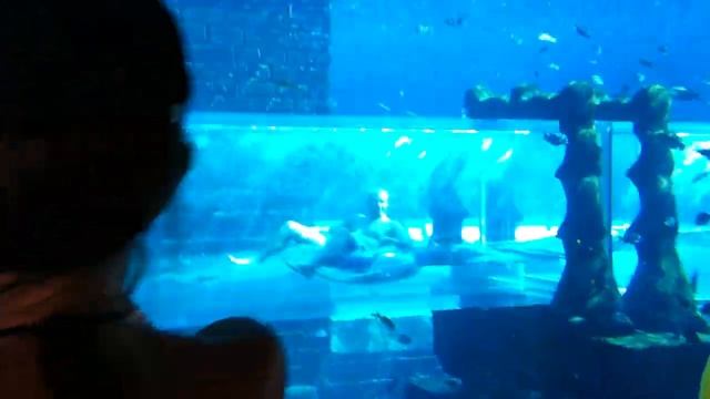 Дубай.Аквапарк Атлантис. смотреть онлайн