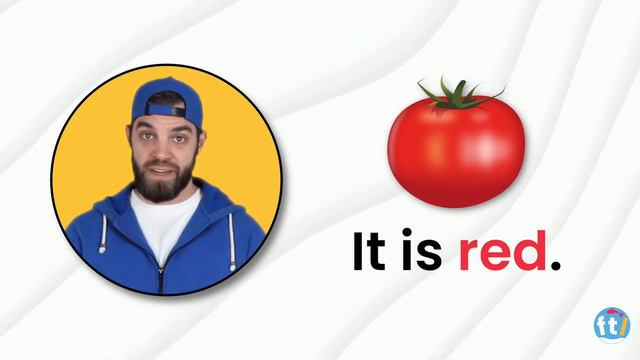 What Color Is It? | Learn Colors For Kids | Red, Blue, Orange, Green, Yellow