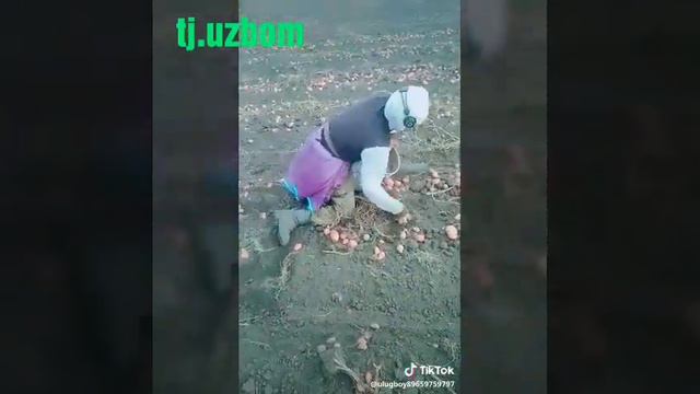 Мама почему ты меня выбрала смотреть самые лучшие видео смотреть онлайн