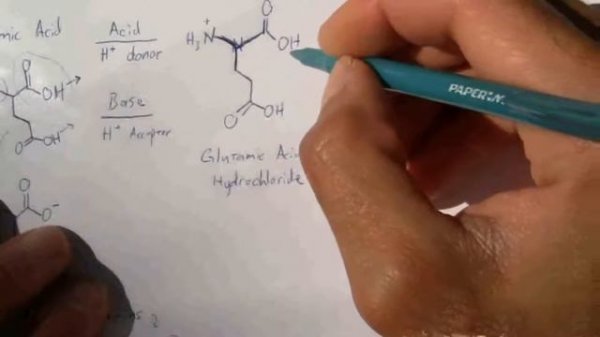 Digesting MSG & Aspartame 2 of 4: Amino Acid Chemistry