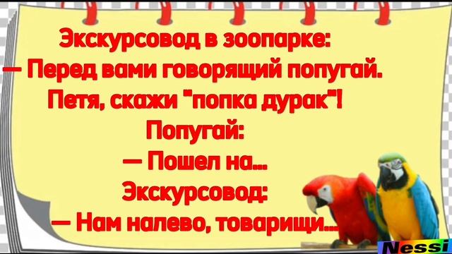 Анекдоты про попугая .Копилка анекдотов.Смешные анекдоты.Шоу анекдотов.Юмор от Инессы смотреть онлайн