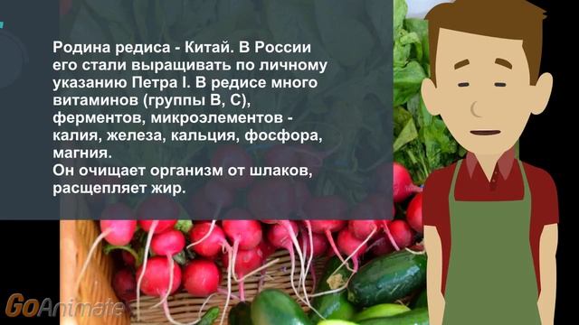 Чтобы редиска не цвела смотреть онлайн