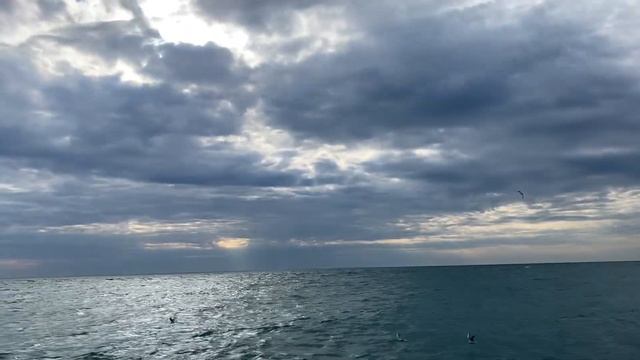 11.01.2022. Погода в Сочи в январе. Смотри на Чёрное море каждый день. смотреть онлайн