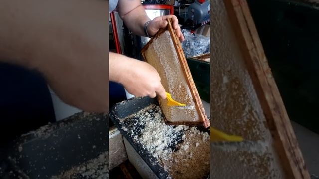 Открываем рамки для откачки мёда.