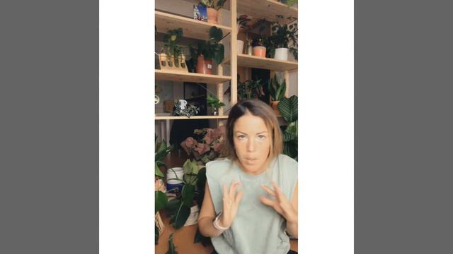 Plantas para principiantes ¿Por dónde empiezo? смотреть онлайн