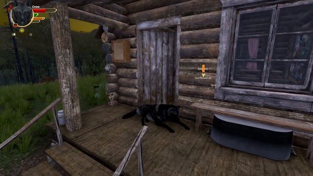 Running Ragged [Lost River DLC] | WolfQuest Wayfinders: Crow's Quest #8 смотреть онлайн