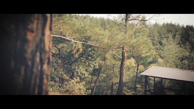 Свадебный клип. Владимир и Галина.Wedding Day август 2016. смотреть онлайн