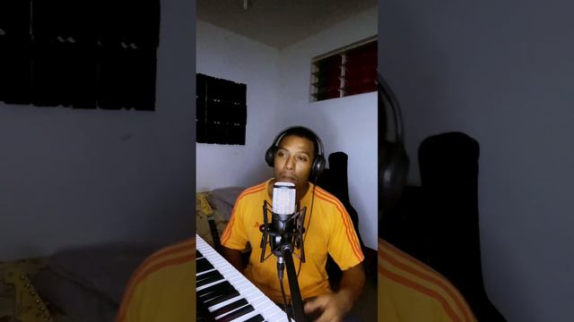 La vérité de Patrick Brunet- Cover par Ti Pato смотреть онлайн