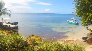 Как узнать какая энергетика в квартире опасные признаки плохой энергии