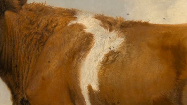 The Bull by Paulus Potter at the Mauritshuis Museum смотреть онлайн