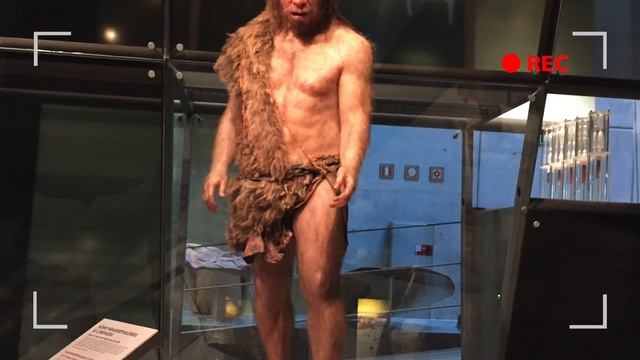 Отдых в Барселоне.Музей Космокайша.Испания. смотреть онлайн