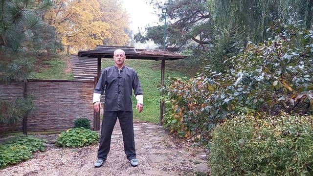 29 октября 2020 г. смотреть онлайн