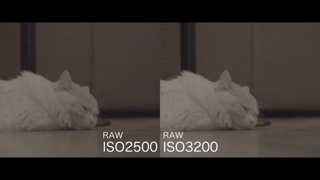 Canon EOS R5 Dual ISO Test 【8K RAW 12bit】 смотреть онлайн