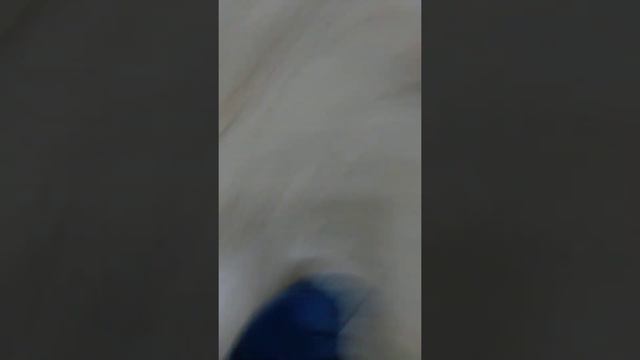 ПОЗДРАВЛЕНИЯ НА 8 МАРТА ОТ МАРСИКА🐱 смотреть онлайн