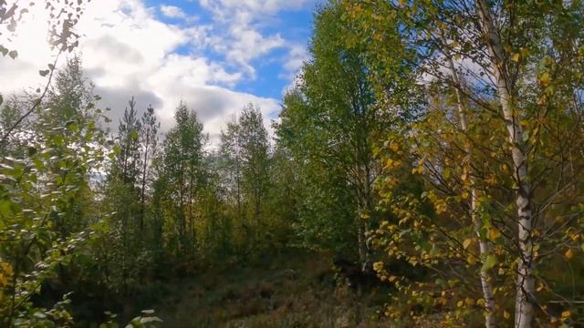 Делай То, Что Полезно