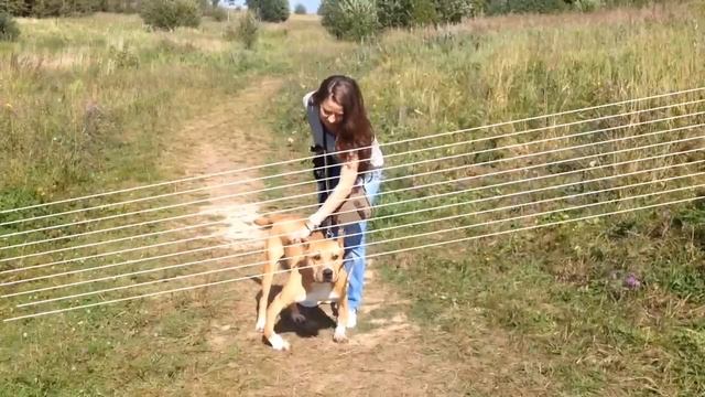 Михей из Шереметьевского приюта смотреть онлайн