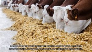 Пошаговая схема изготовления экструдера для кормов своими руками