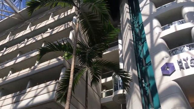 Inside MCO Orlando International Airport смотреть онлайн