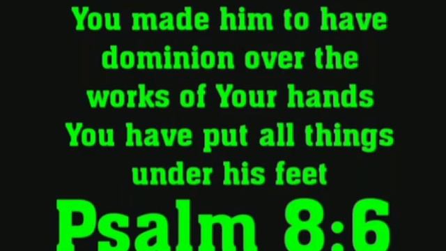 Psalm 8:6 смотреть онлайн