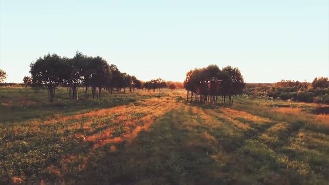 Константин Симонов — Родина. Стих читает Екатерина Спиридонова смотреть онлайн