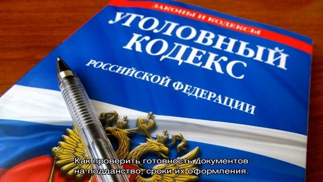 Проверка готовности гражданства РФ смотреть онлайн