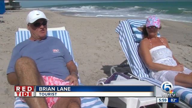 After red tide, business getting back to normal in Indian River County смотреть онлайн