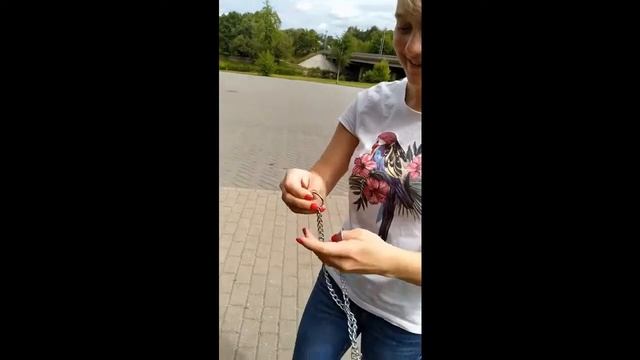 как надеть рывковую цепочку на собаку смотреть онлайн