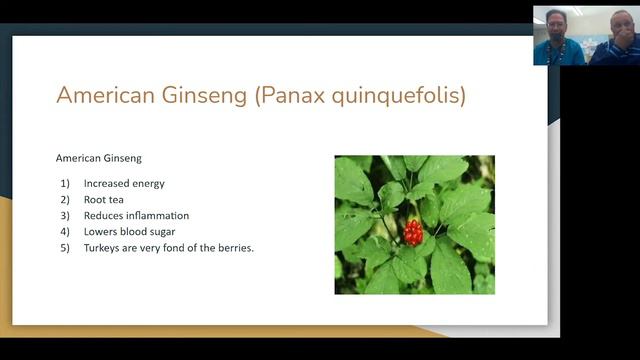 North Carolina Native Herbal Plant Remedies