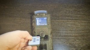 Зачем переплачивать? Фотоловушки Филин и фотоловушки SUNTEК..